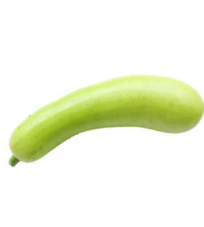 Loki 500G